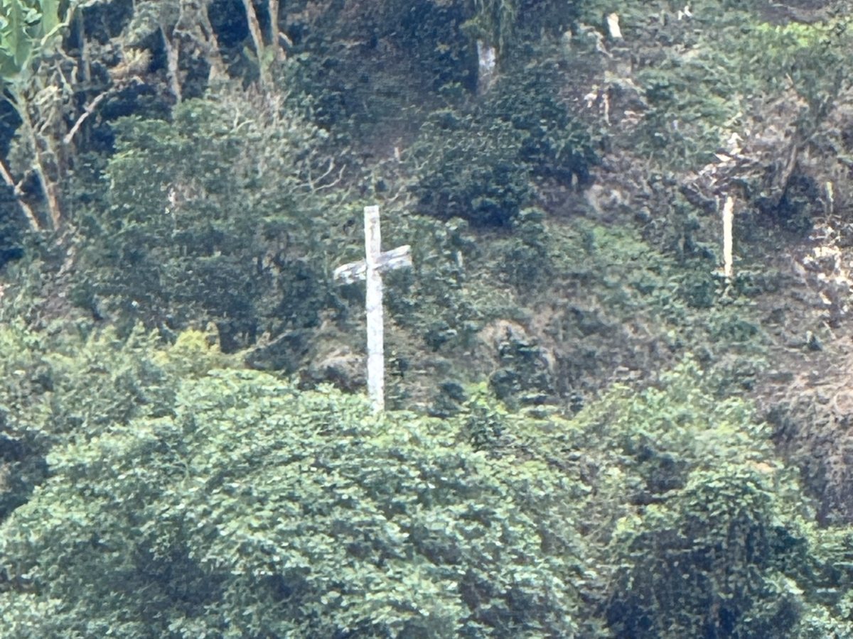 A white cross standing on a hillside in Colombia’s coffee region